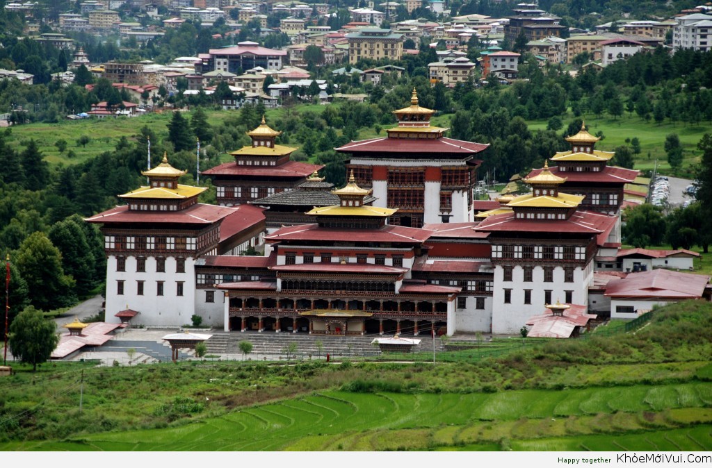 Theo sắc lệnh của nhà vua, cứ đốn 1 cây xanh vì bất cứ mục đích gì thì đều phải trồng bù 3 cây mới. Nhờ thế mà cho đến nay, hơn 60% diện tích Bhutan vẫn còn rừng bao phủ và 1/4 lãnh thổ là các công viên quốc gia.